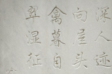 尼组词(探秘尼组词在汉语中的地位与重要性)
