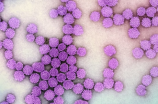 HPV感染：预防及治疗方法分享